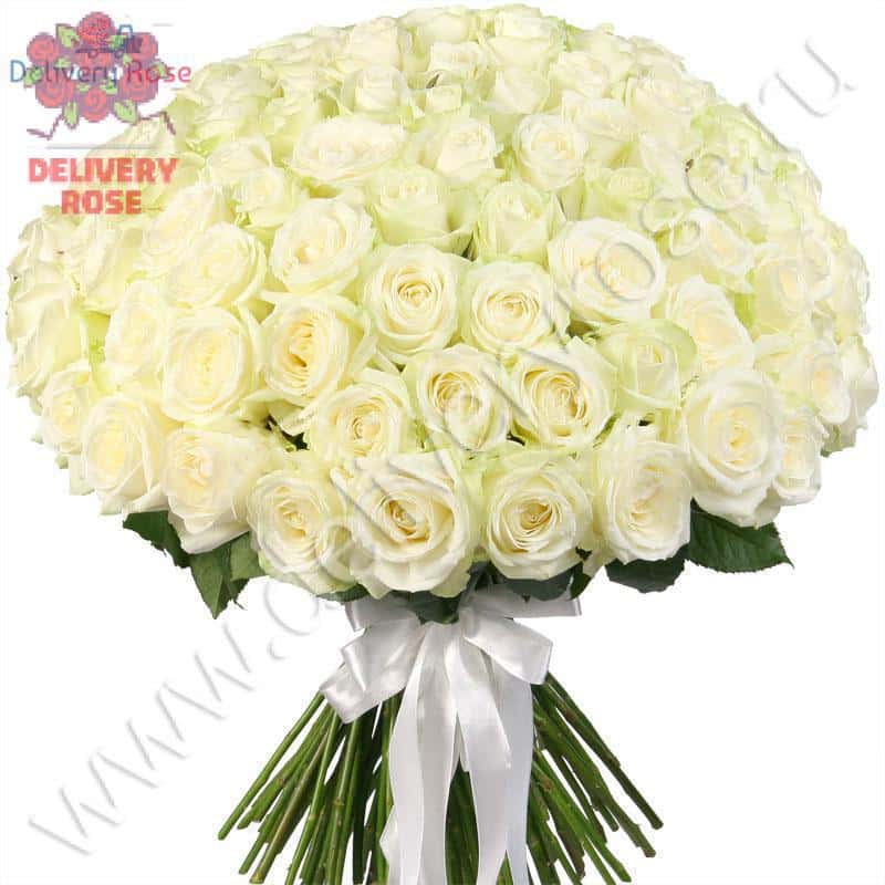 Букет из 101 белой розы "Аваланж"