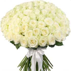 Букет из 101 белой розы "Аваланж"