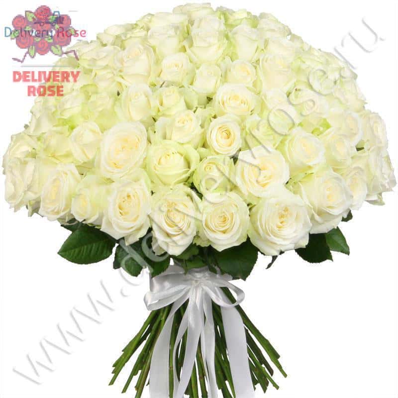 Букет из 75 белых роз "Аваланж" 70 см