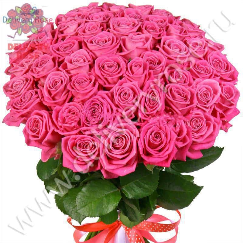 Букет из 51 розовой розы "Аква"