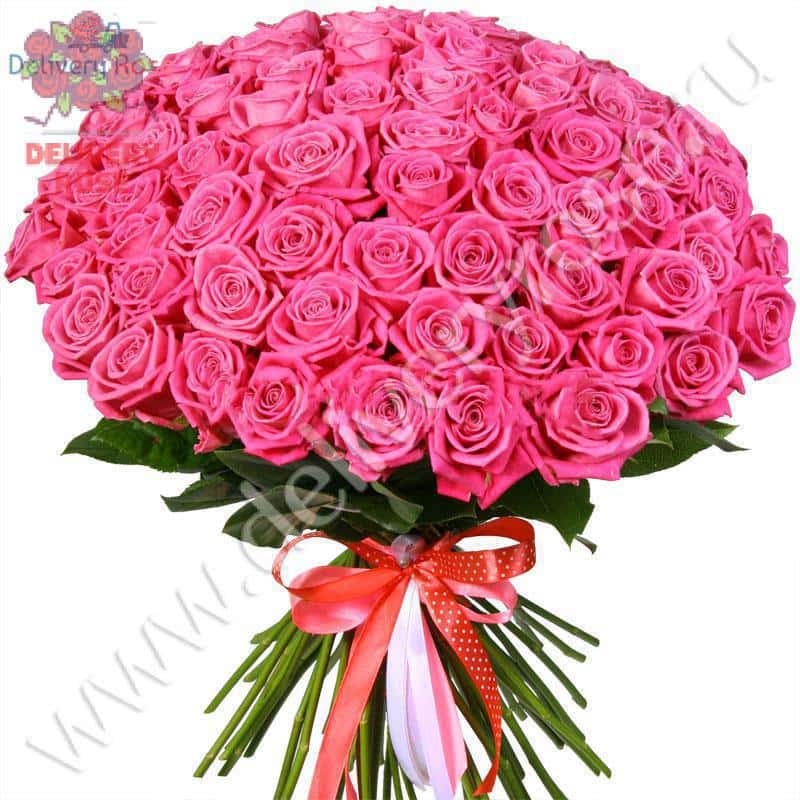 Букет из 75 розовых роз "Аква" 70 см