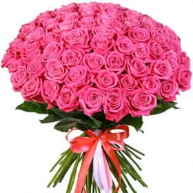 Букет из 75 розовых роз "Аква" 70 см