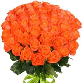 Букет из 51 оранжевой розы "Вау"