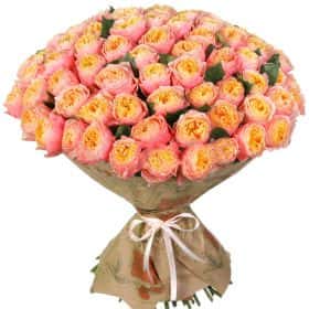 Букет из 101 пионовидной розы "Вувузела" 60 см