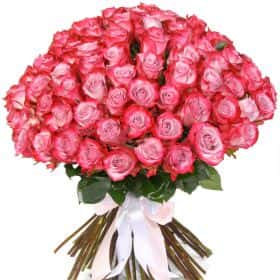Букет из 75 роз "Дип Перпл" 70 см 