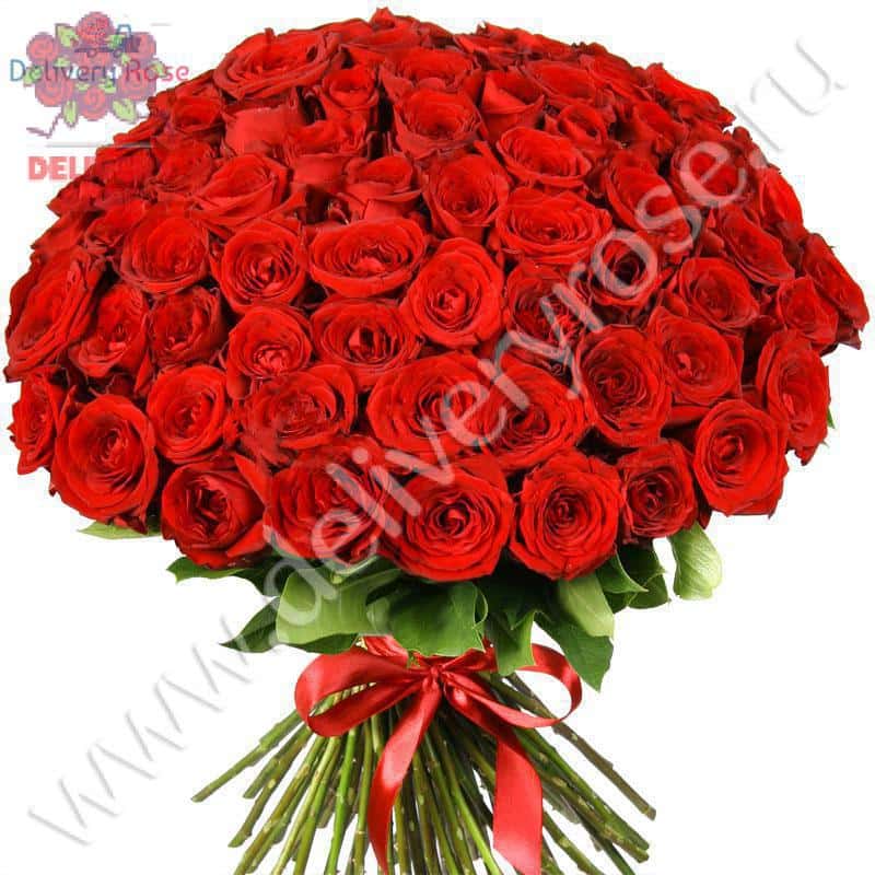 Букет из 75 красных роз "Ред Наоми" 70 см