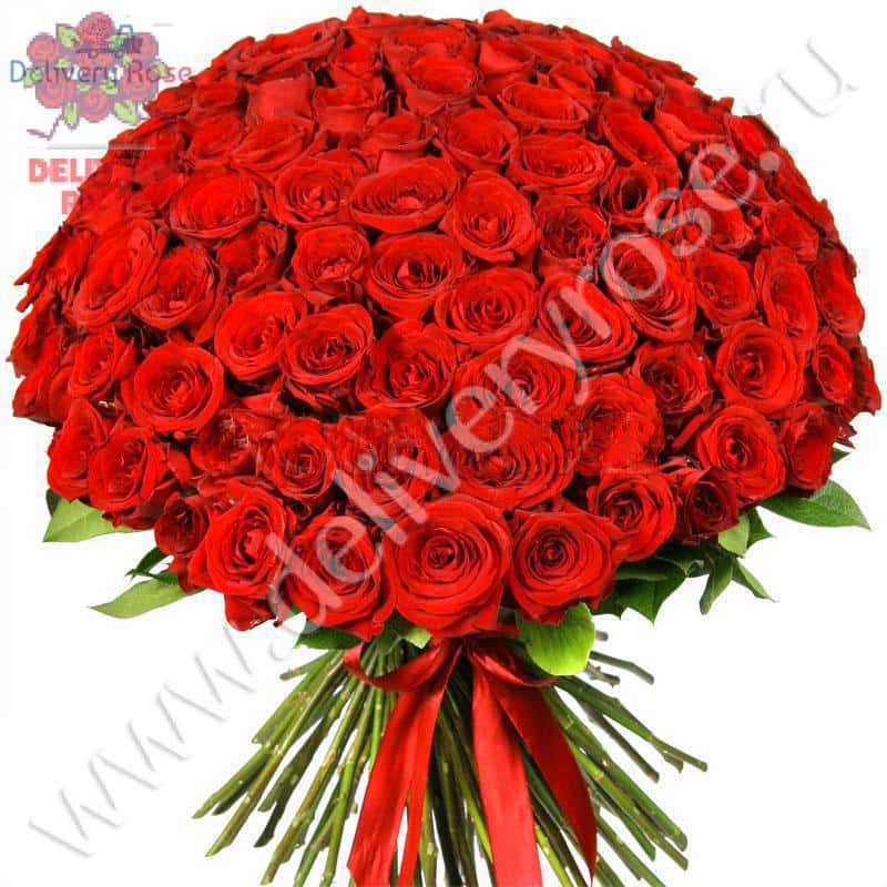 101 красная роза Ред Наоми 70 см