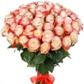 Купить Букет из 51 розы "Свитнесс" с доставкой в город Серпухов: цена заказать