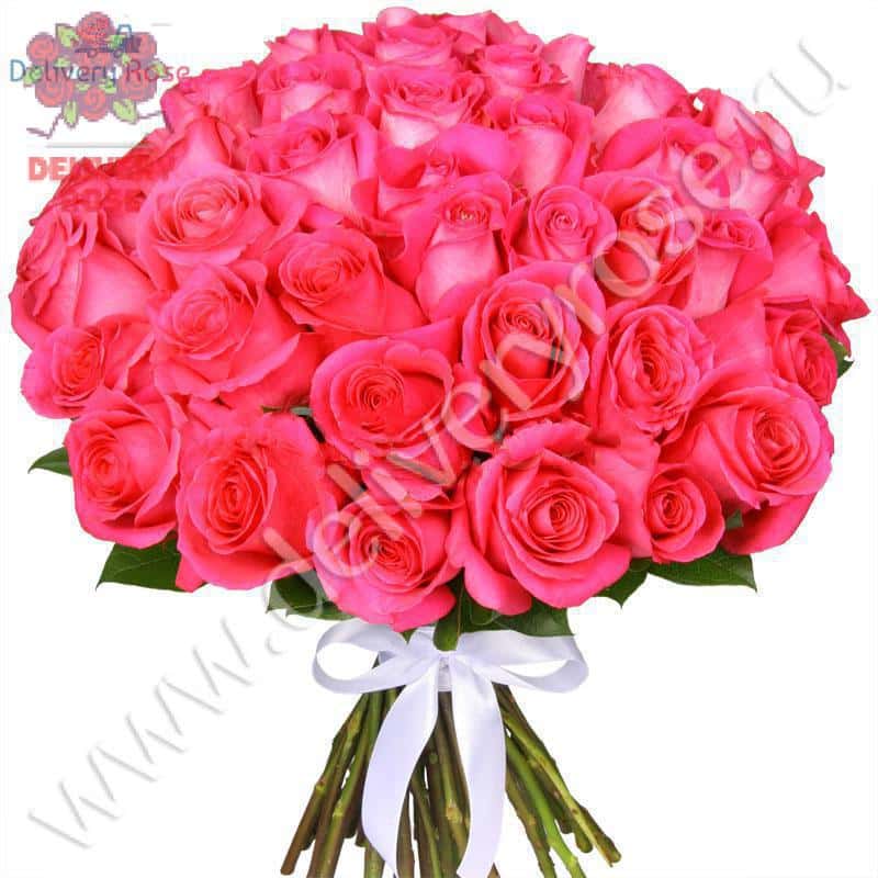Букет из 51 розовой розы "Шерри О"