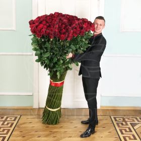 201 гигантская красная роза, высота 170 см