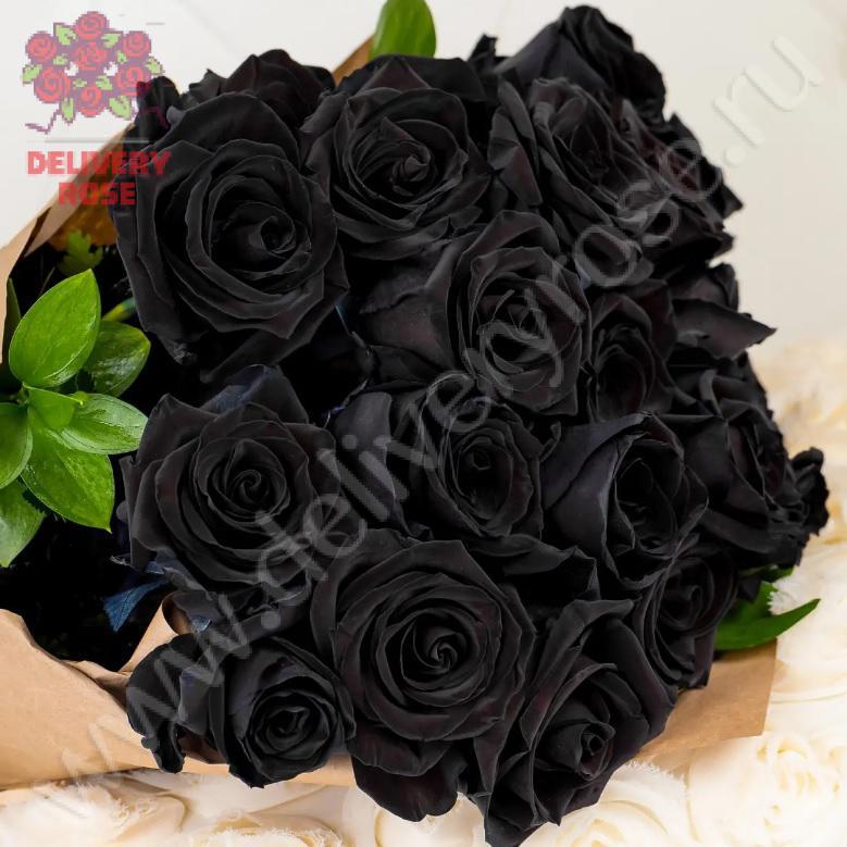 Букет из 17 черных роз