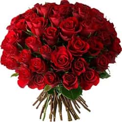 Кенийские розы Красные 40 см 51 шт