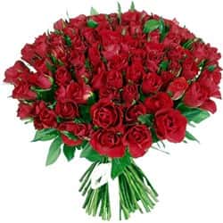 Кенийские розы Красные 35-40 см 101 шт