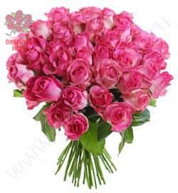 Кенийские розы Розовые 40 см 51 шт