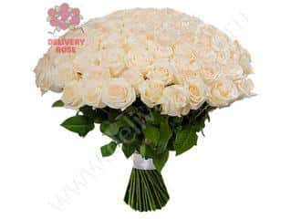 51 белая роза 60/70 см