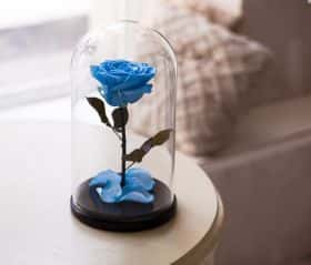 Голубая роза в колбе 30 см