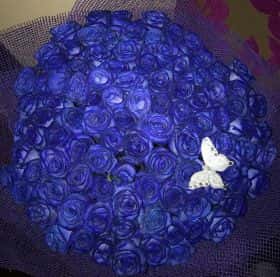 151 синяя роза
