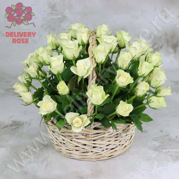 51 белая роза 40 см. в корзине Cтандарт