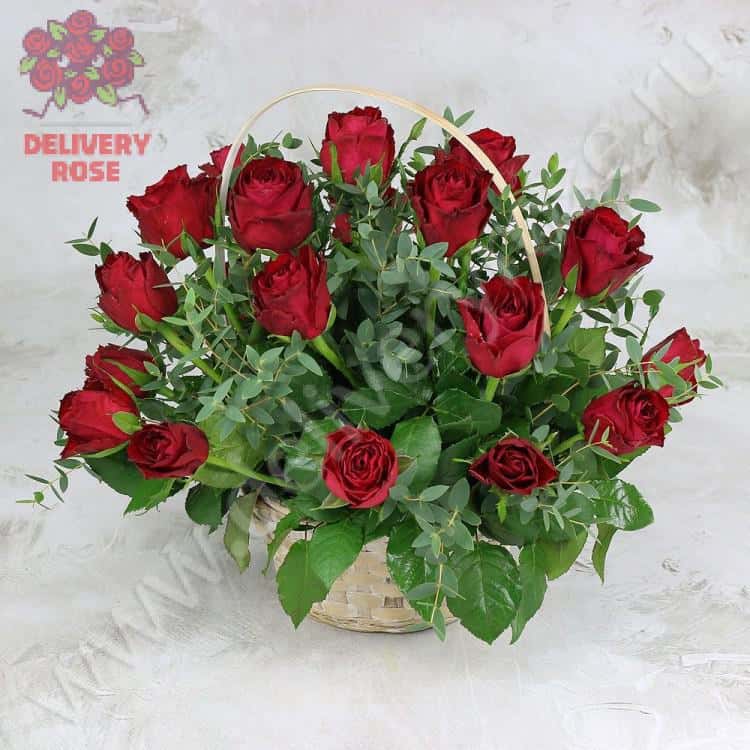 25 красных роз 40 см. с листьями фисташки в корзине Люкс