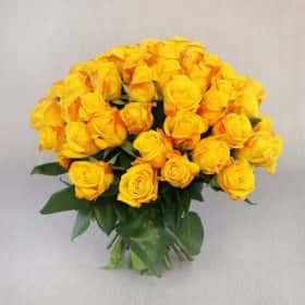 Букет из 51 желтой розы 40 см. Cтандарт