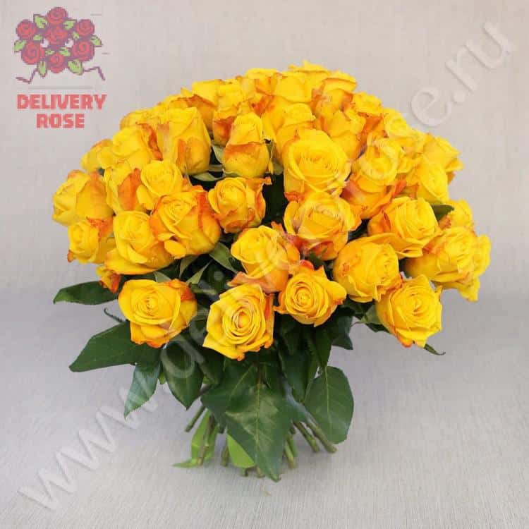 Букет из 51 желтой розы 40 см. VIP