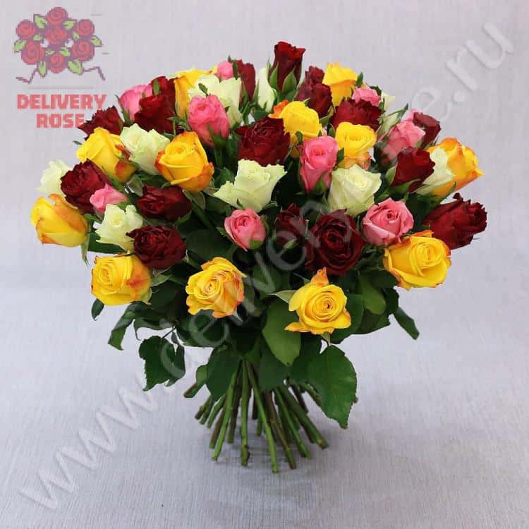 Букет из 51 разноцветной розы 40 см. Cтандарт