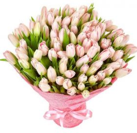 Тюльпаны розовые 75 шт