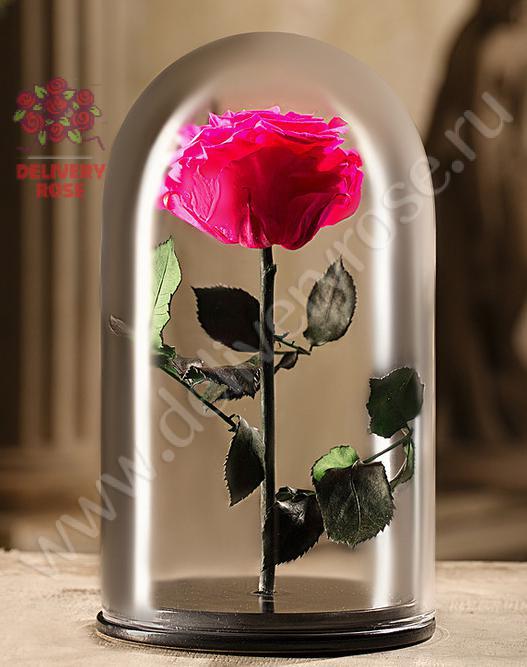 Розовая роза в колбе 30 см