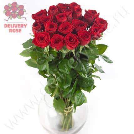 25 красных роз "Ред Наоми"