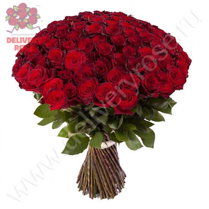 Букет 101 красная роза Премиум