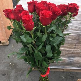 21 длинная роза 110 см 