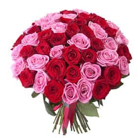 Букет из 51 розы «Малиновый щербет»