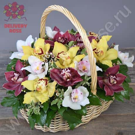 Корзина «Сладкие орхидеи»