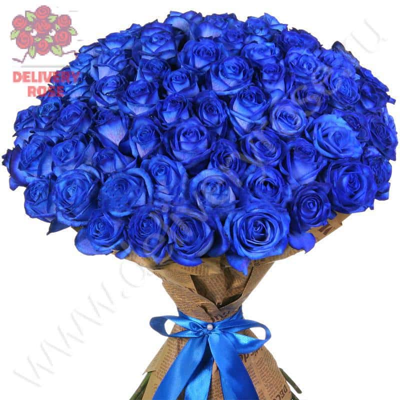 Букет из 75 натуральных синих роз