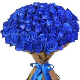 Букет из 75 синих роз