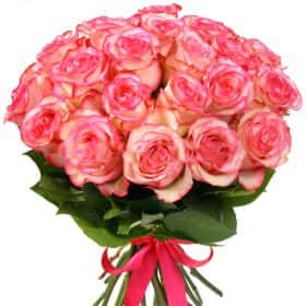 Букет из 25 роз "Карусель"