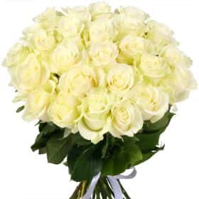 51 Белая роза Мондиаль 60-70 см