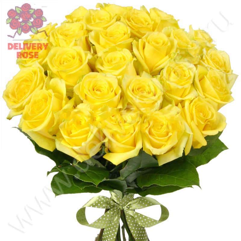 Букет из 25 желтых роз «Хаммер»