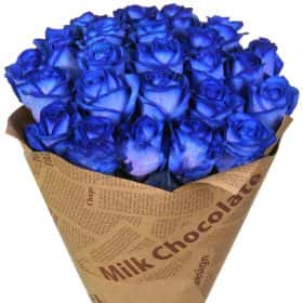 Букет из 25 натуральных синих роз