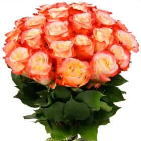 Букет из 25 роз "Кабарет" 70 см