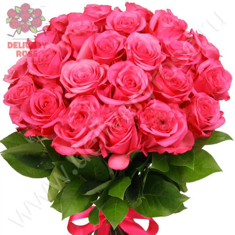 Букет из 25 розовых роз "Черри О" 70 см